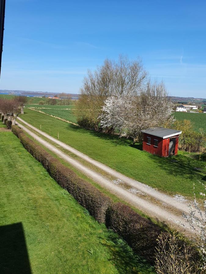 Molshojgard Daire Knebel Dış mekan fotoğraf